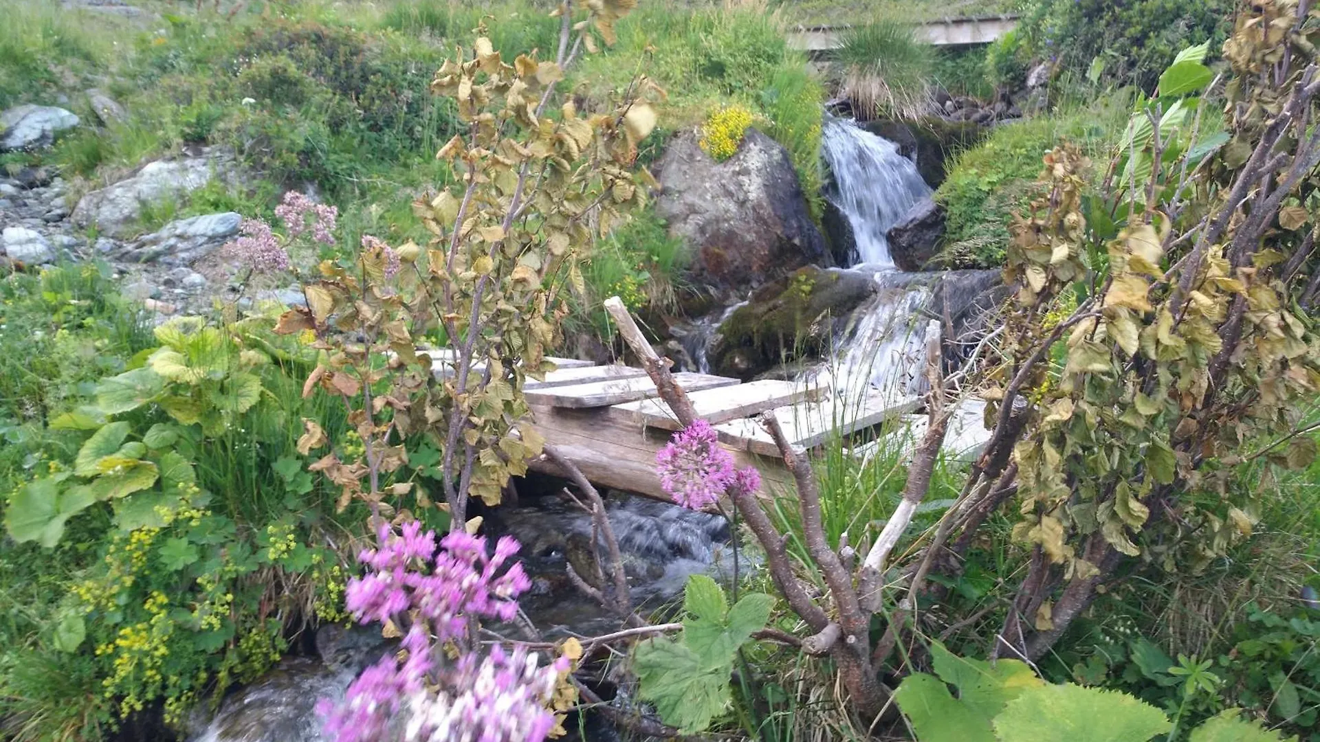 Les 7 Laux Immobilier Chalet D Prapoutel